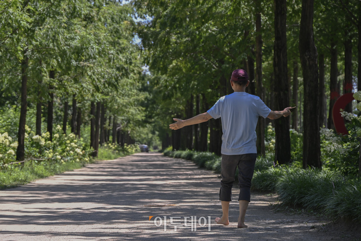 ▲가을에 접어들었음을 알리는 절기상 입추(立秋)인 7일 서울 마포구 하늘공원 메타세콰이어길에서 시민들이 산책을 하고 있다. 이날 기상청에 따르면 비가 내리는 지역에서는 일시적으로 기온이 내려가겠지만, 습하고 체감온도가 높은 날씨가 이어지면서 당분간 최고체감온도가 31도 이상으로 올라 매우 무덥겠다고 밝혔다. 조현호 기자 hyunho@