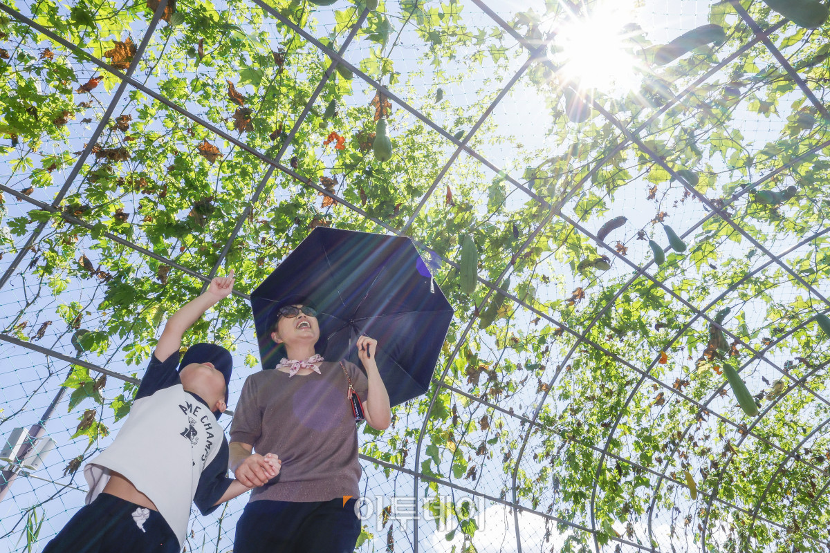 (조현호 기자 hyunho@)