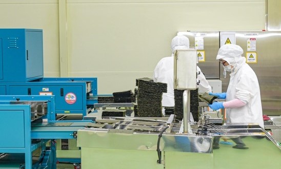 ▲목포시 수산식품 수출단지 조성이 추진되는 가운데, 공장 내부에서 작업복과 위생모를 착용한 근로자들이 기계 장비를 사용해 위생적으로 생산 작업을 진행하고 있다. (사진제공=목포시)