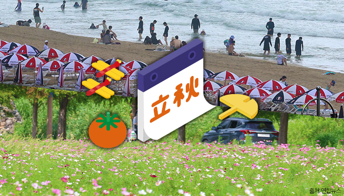 (디자인=김다애 디자이너 mnbgn@)