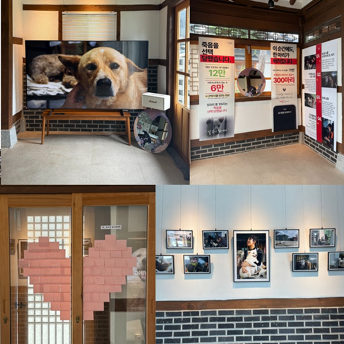 (동구 청년센터 제공)