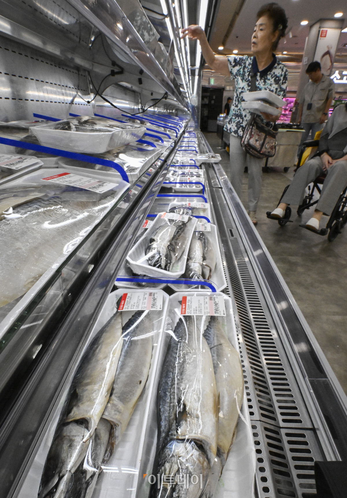 ▲7월 먹거리 물가가 1년 만에 가장 많이 상승한 것으로 나타났다. 11일 통계청 국가통계포털(KOSIS)에 따르면 7월 식료품 및 비주류음료 물가지수는 125.75(2020년=100)으로 작년 동월보다 3.5% 상승했다. 식료품 중 어류 및 수산(7.2%)의 물가 상승 폭이 가장 컸다. 오징어채(42.9%), 조기(13.4%), 고등어(12.6%) 등이 껑충 뛰어 두 자릿수 상승률을 보였다. 빵 및 곡물(6.6%)도 2023년 9월(6.9%) 이후 1년 10개월 만에 가장 크게 올랐다. 쌀(7.6%)은 2024년 3월(7.7%) 이후 1년 4개월 만에 다시 7%대 상승률을 기록했고, 라면(6.5%)은 3개월 연속 6%대 상승률을 이어갔다. 이날 서울 시내 한 대형마트에서 시민들이 고등어를 살펴보고 있다. 조현호 기자 hyunho@