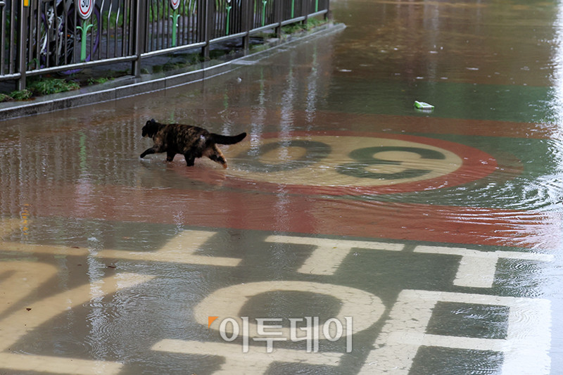 ▲수도권에 호우 경보가 내려진 13일 경기 김포 고촌초등학교 일대 도로가 침수됐다. 기상청은 14일 오전까지 수도권을 중심으로 시간당 50~70mm의 폭우가 쏟아질 것으로 예측하며 산사태, 제방 붕괴, 침수 등 피해 예방에 각별한 주의를 당부했다. 고이란 기자 photoeran@