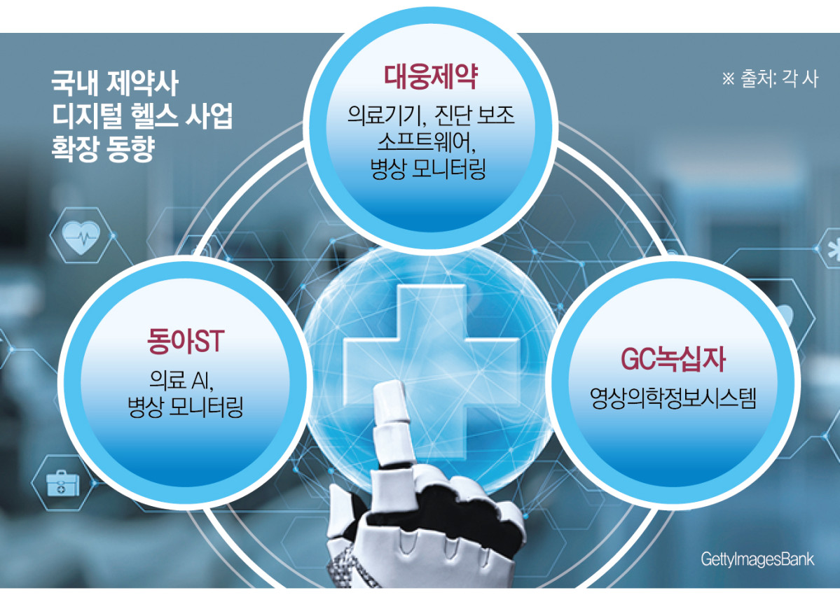 (그래픽=신미영 기자 win8226@)