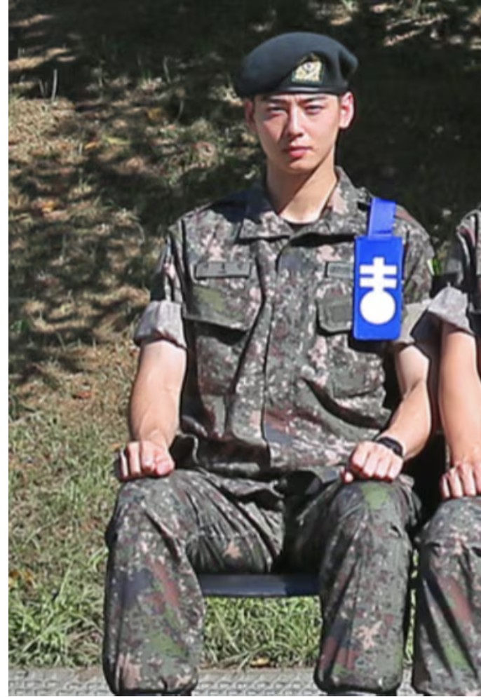 ▲가수 겸 배우 차은우. (출처=육군훈련소 홈페이지)