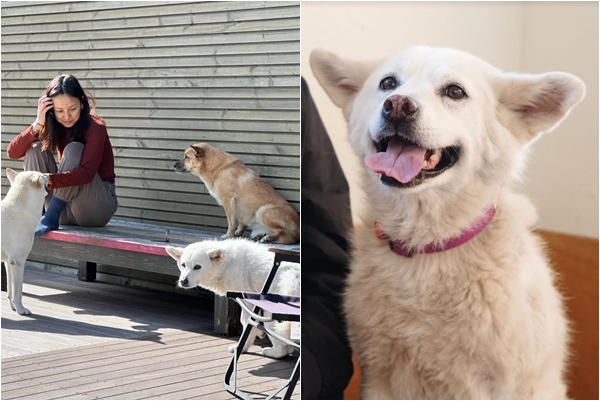 ▲가수 이효리와 반려견들. (출처=이효리SNS)