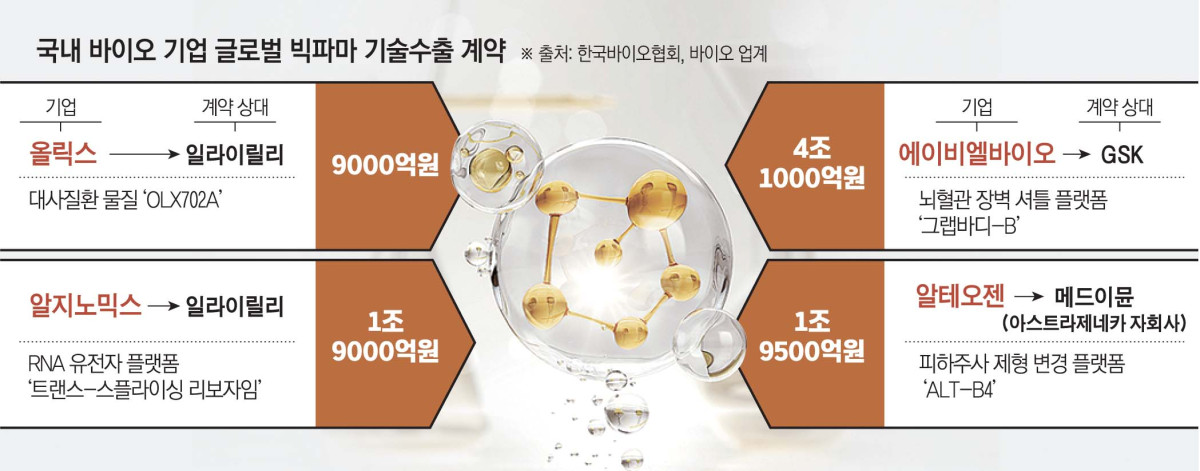 (그래픽=신미영 기자 win8226@)