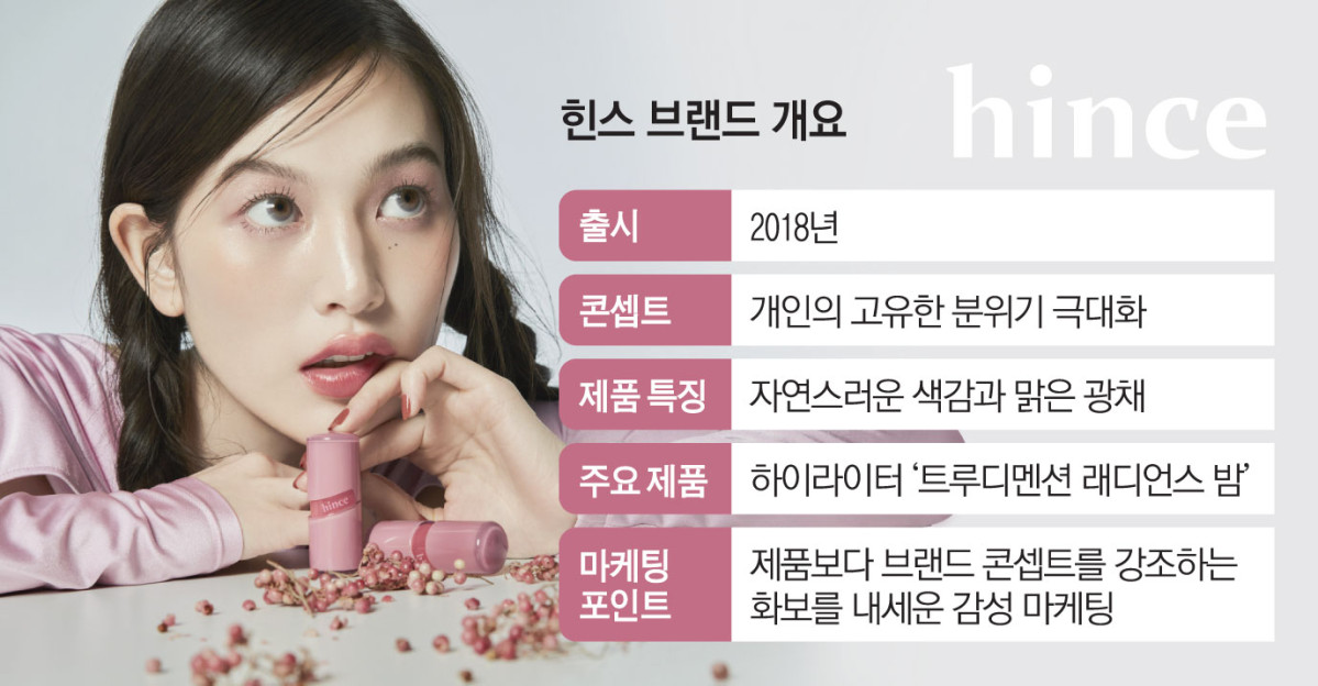 ▲'힌스' 브랜드 개요 (이투데이 그래픽팀=김소영 기자)