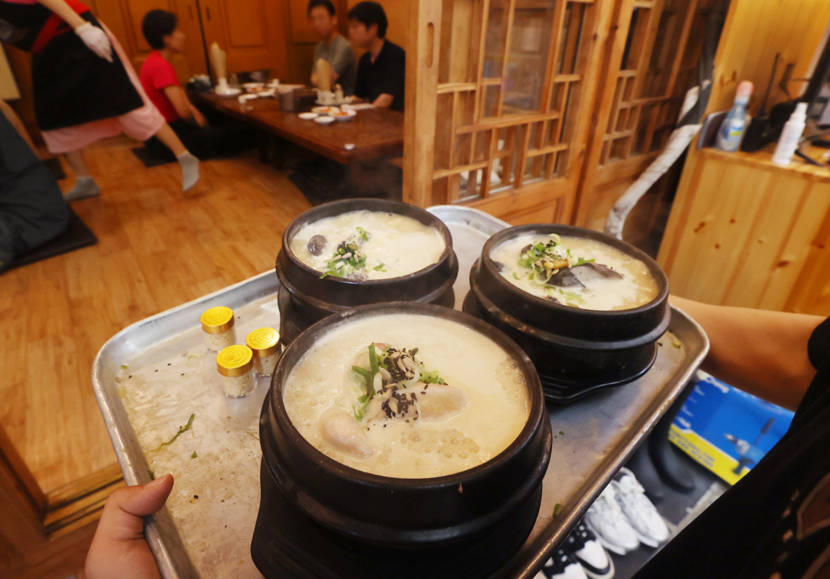 ▲중복을 하루 앞둔 29일 서울 시내의 한 삼계탕집에서 직원이 삼계탕을 서빙하고 있다. 2025.7.29    jin90@yna.co.kr/2025-07-29 14:14:13/<저작권자 ⓒ 1980-2025 ㈜연합뉴스. 무단 전재 재배포 금지, AI 학습 및 활용 금지> (연합뉴스)