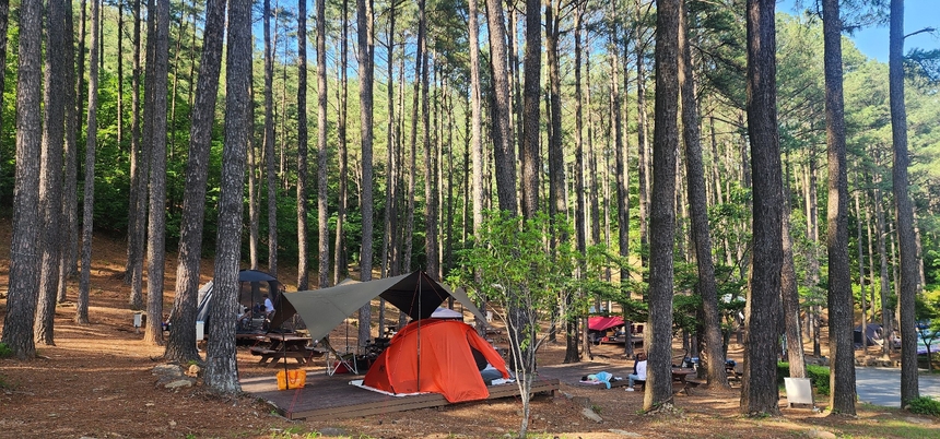 ▲전남 광양시는 백운산자연휴양림과 배알도 정원 등 수려하고 청정한 자연 속에서 타인과 함께 있으면서도 방해 없이 '함께&amp;홀로' 라운징을 만끽할 수 있는 공간을 추천했다.  (사진제공=광양시)