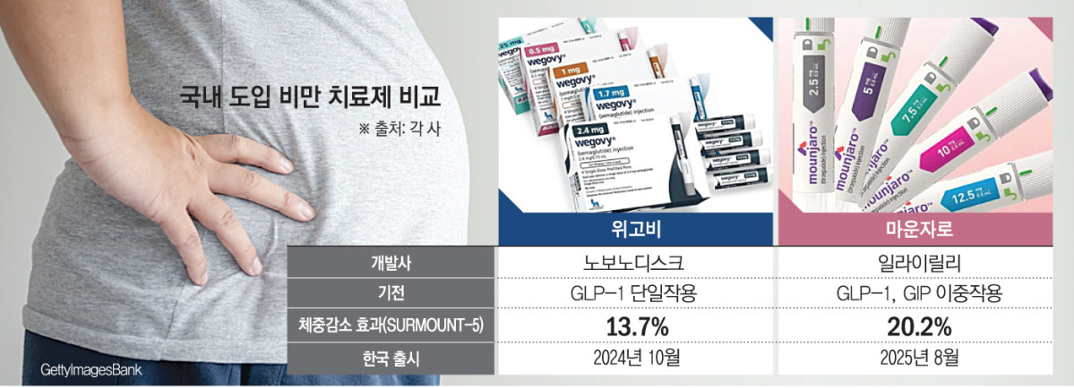 (그래픽=손미경 기자 sssmk@)