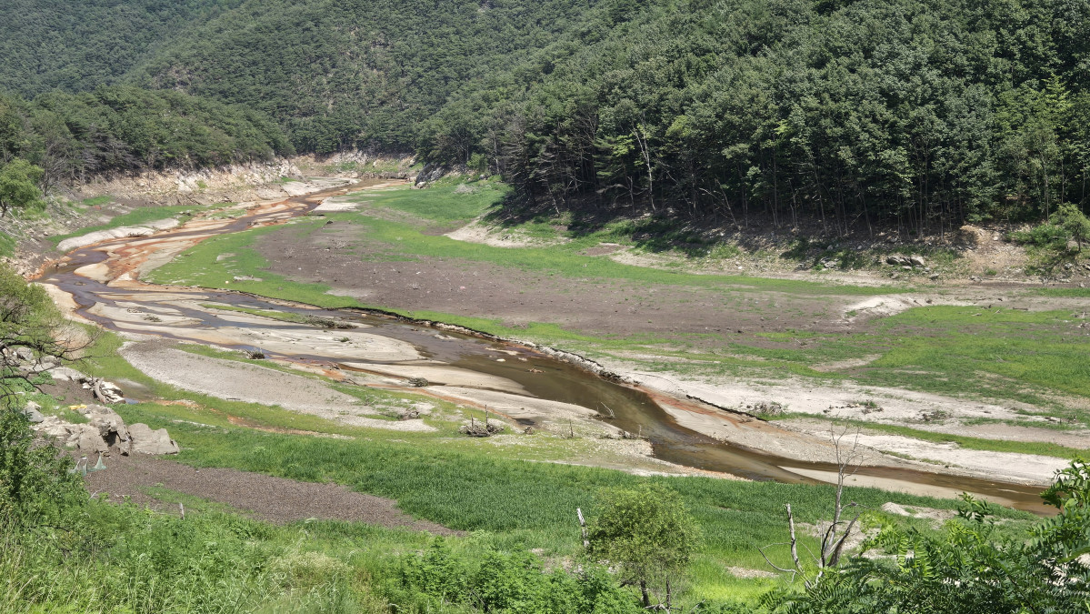 ▲12일 강원 강릉시 주 상수원인 오봉저수지 저수율이 역대 최저치인 25.4%까지 낮아진 가운데 저수지 중·상류 지역에 잡초가 무성하다. 환경부는 이날 오전 강릉시 가뭄단계를 '경계'로 격상하고 대응에 나섰다. (연합뉴스)