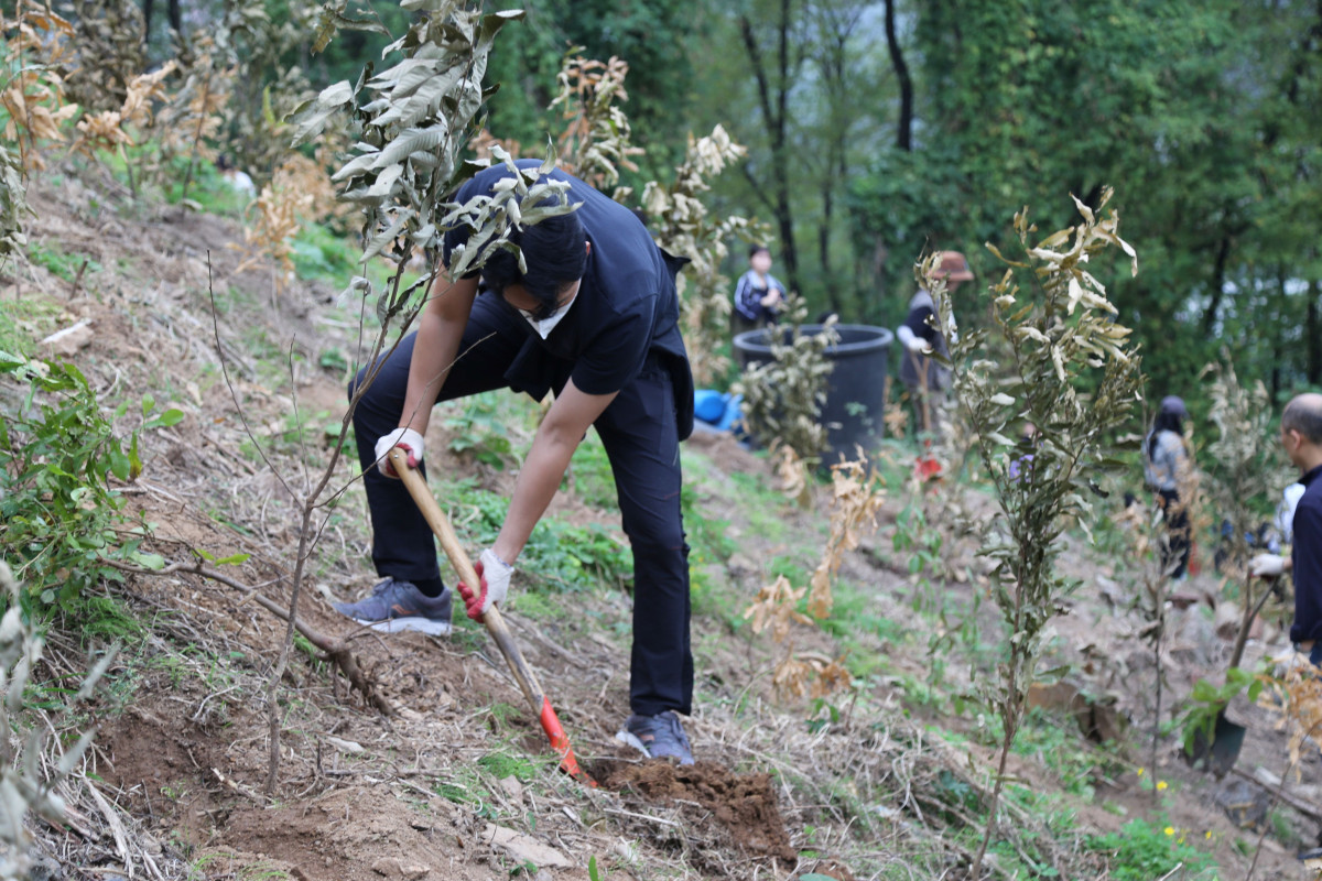 ▲DL이앤씨 직원들이 서울 마포구 노을공원을 찾아 도토리 묘목을 심고 있다. (사진제공=DL이앤씨)