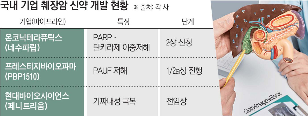 생존율 낮은 ‘췌장암’…효과 높은 국내 신약 나오나