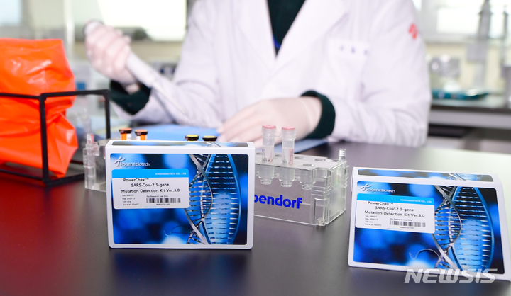 ▲광주시보건환경연구원이 코로나19 변이 바이러스 검사한 모습이다. (사진제공=뉴시스)