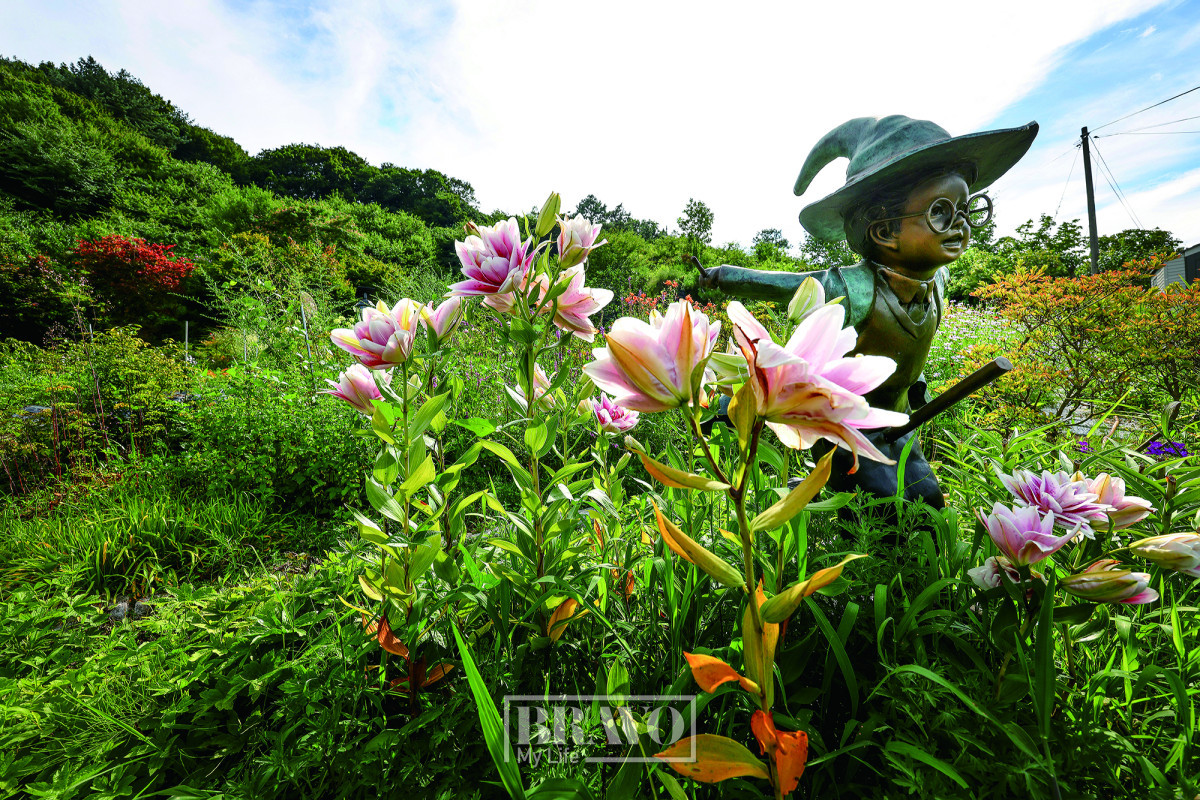 (주민욱 프리랜서)