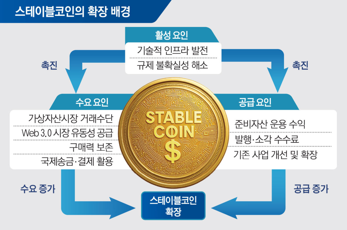 ▲스테이블코인의 확장 배경 (토스인사이트)