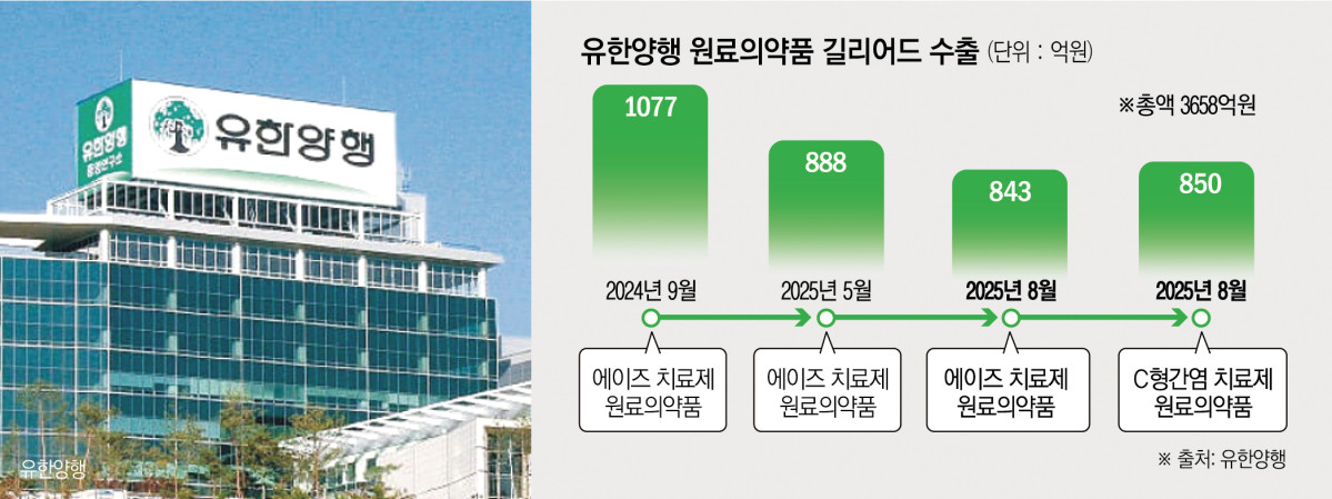 (그래픽=신미영 기자 win8226@)