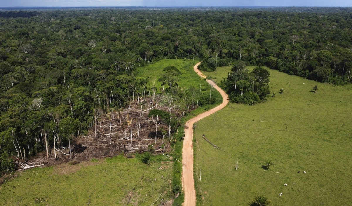 ▲개간 중인 브라질 숲의 모습 (AP연합뉴스)