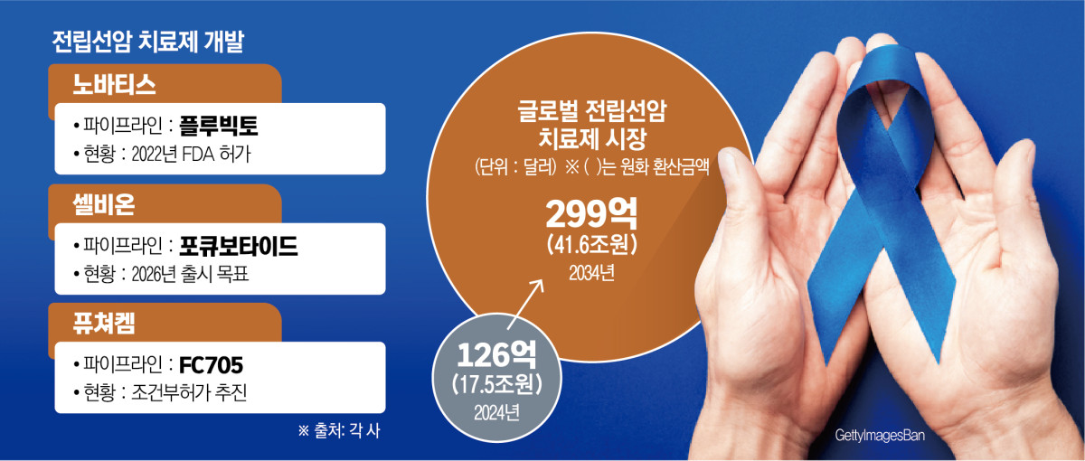 (그래픽=신미영 기자 win8226@)