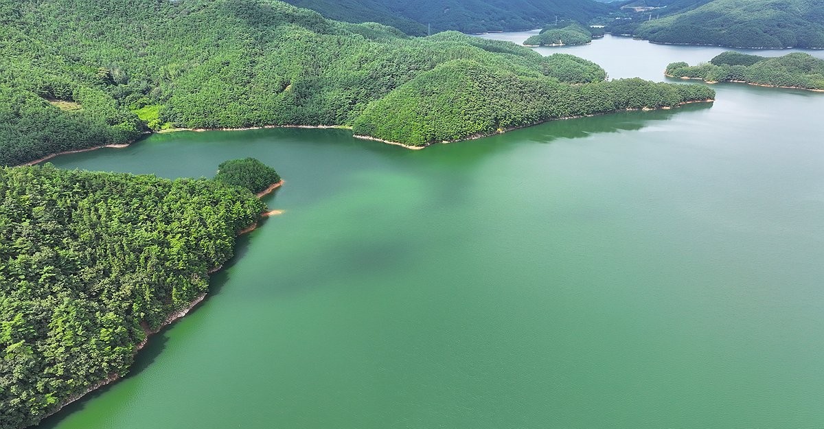▲광주·전남 식수인 주암호에 녹조 확산. (사진제공=연합뉴스)