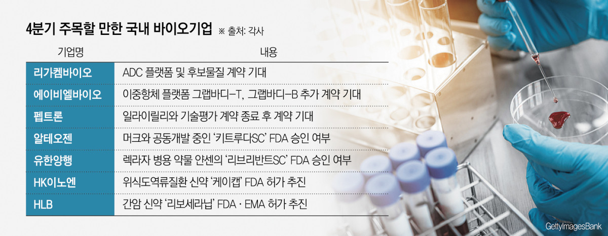 (그래픽=신미영 기자 win8226@)