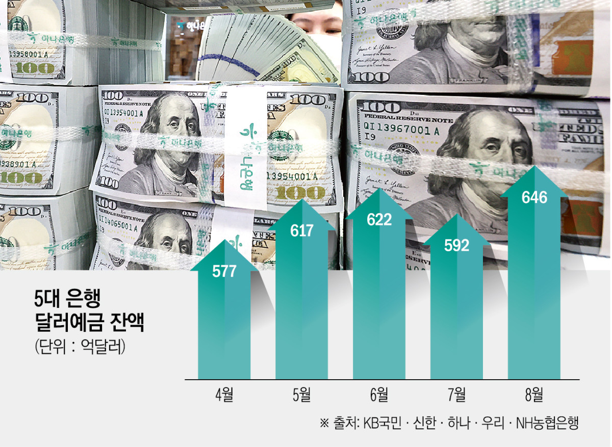 (그래픽=신미영 기자 win8226@)