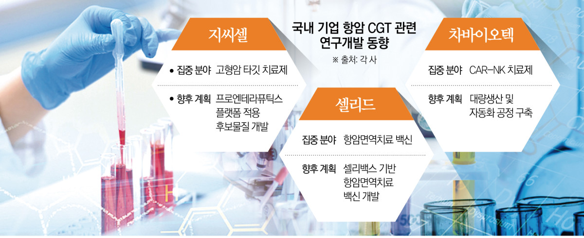 (그래픽=신미영 기자 win8226@)