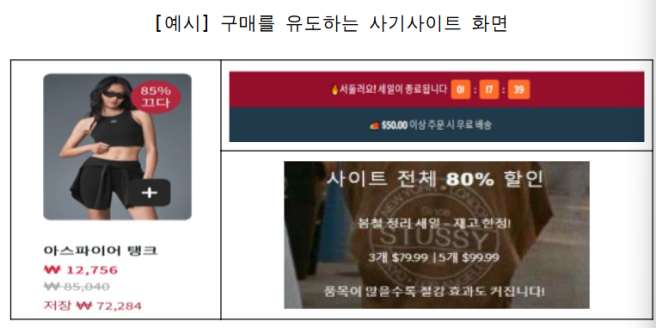 ▲구매 유도 사기 사이트 모습. (자료제공=서울시)