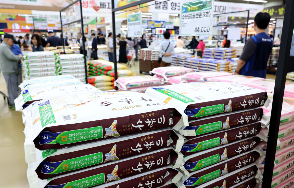 ▲쌀 소비자 가격이 급등하자 농림축산식품부는 5일 가공용 쌀을 추가 공급하고 지난달 1일부터 진행중인 쌀 할인행사 단가를 11일부터 20㎏ 당 3000원에서 5000원으로 늘린다고 밝혔다. 이날 서울의 한 대형마트에서 시민들이 쌀을 살펴보고 있다. 추석을 목전에 두고 쌀값이 지난해 대비 17% 오르며 심리적 저항선인 20kg에 6만 원 선을 넘었다. 이상기후로 생산량이 감소한 영향에 정부 공급 제한 정책까지 맞물린 까닭이다.  (신태현 기자 holjjak@)