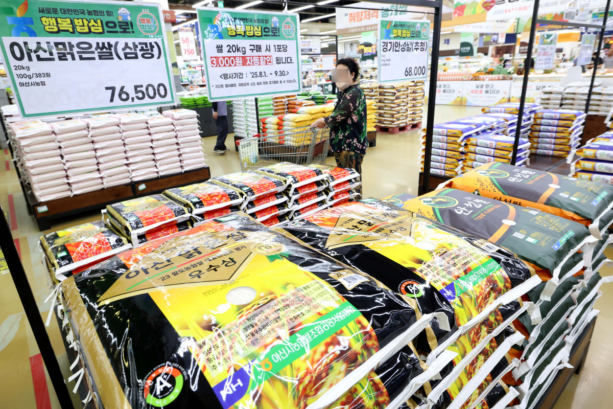 ▲쌀 소비자 가격이 급등하자 농림축산식품부는 5일 가공용 쌀을 추가 공급하고 지난달 1일부터 진행중인 쌀 할인행사 단가를 11일부터 20㎏ 당 3000원에서 5000원으로 늘린다고 밝혔다. 이날 서울의 한 대형마트에서 시민들이 쌀을 살펴보고 있다. 추석을 목전에 두고 쌀값이 지난해 대비 17% 오르며 심리적 저항선인 20kg에 6만 원 선을 넘었다. 이상기후로 생산량이 감소한 영향에 정부 공급 제한 정책까지 맞물린 까닭이다. 신태현 기자 holjjak@