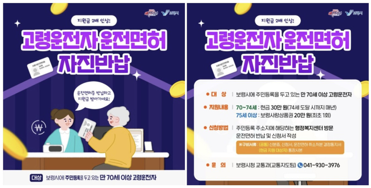 (보령시 블로그 )