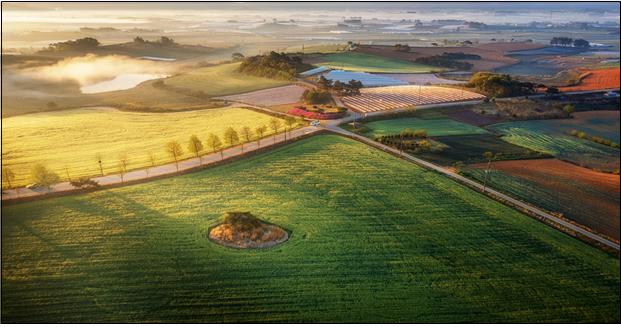 ▲'농촌공간대전 2025' 농촌경관 사진·영상 부문 대상작 ‘아침햇살 속 농촌의 숨결’ (사진제공=농림축산식품부)