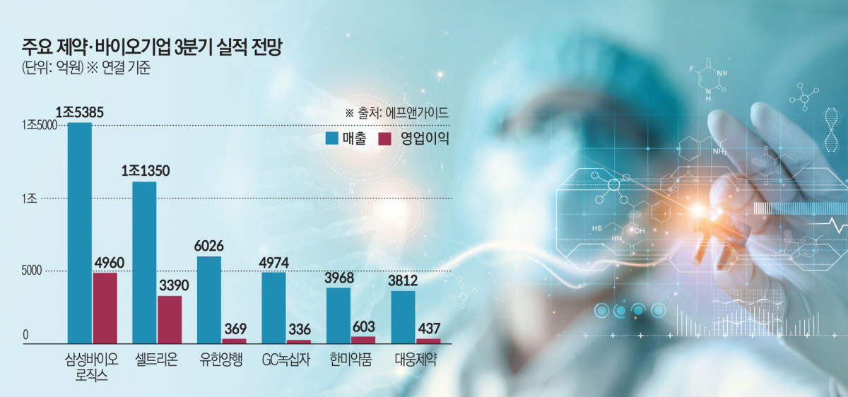 (그래픽=김소영 기자 sue@)