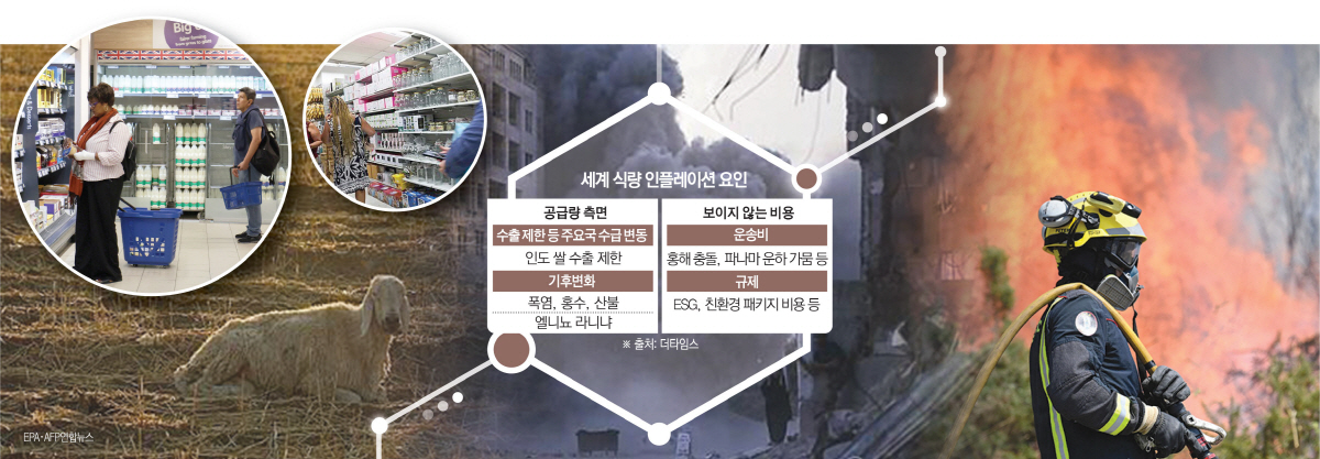 ▲‘공급 불안’과 ‘보이지 않는 비용’이라는 이중 구조가 최종 소비자가격을 끌어올리면서 전 세계에서 푸드플레이션이 고착화하고 있다.