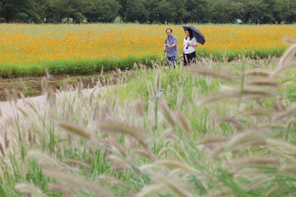 ▲경기 시흥시 갯골생태공원. (이투데이DB)