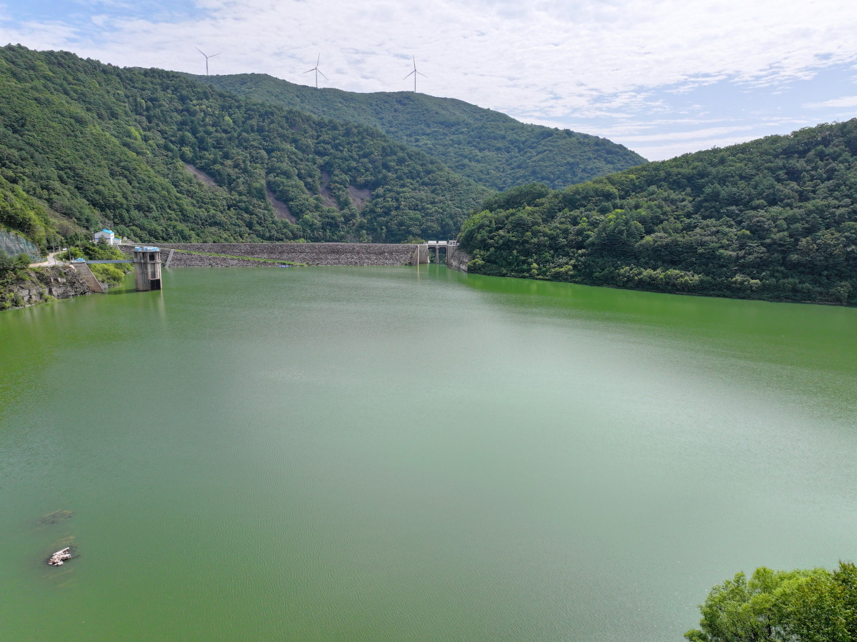 ▲8일 강원 평창군 대관령면 도암댐에 초록빛 물이 차 있다. 강릉 가뭄 사태가 심화함에 따라 정부는 도암댐을 활용한 해갈 방안을 검토 중이다.  (연합뉴스)