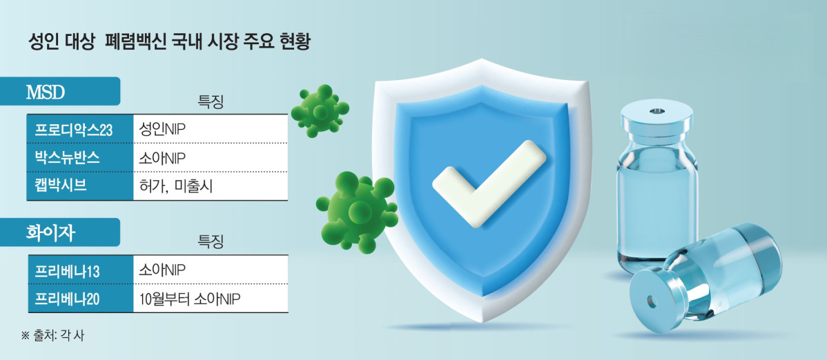 (그래픽=김소영 기자 sue@)