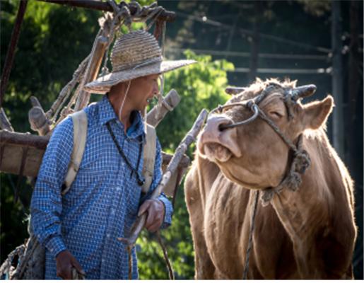 ▲'제18회 동물사랑 사진 공모전'에서 대상을 차지한 신운섭 씨의 ‘농삿일의 동반자’ (사진제공=농림축산식품부)