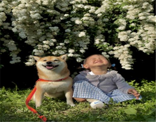 ▲'제18회 동물사랑 사진 공모전'에서 최우수상을 차지한 조은비 씨의 ‘공감' (사진제공=농림축산식품부)