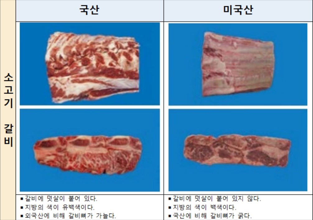 ▲소고기 갈비 부위의 원산지 식별 방법 (자료제공=농림축산식품부)
