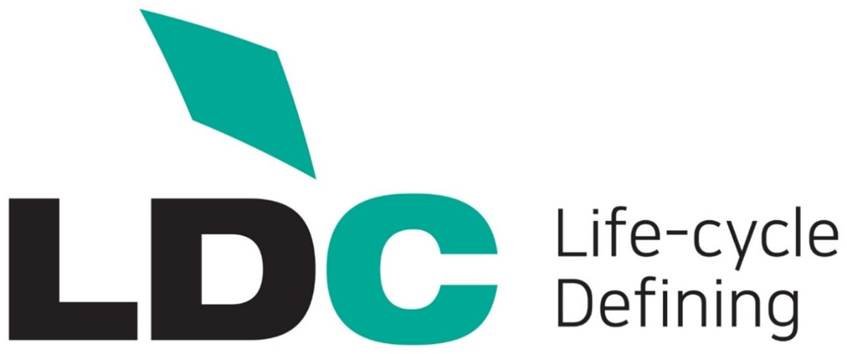 ▲엘디카본 CI.  (출처=엘디카본)