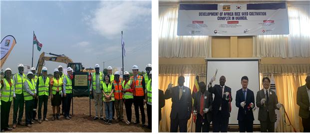 ▲‘K-라이스벨트 사업’ 사업 케냐 착공식(왼쪽) 및 우간다 착공식 모습. (사진제공=한국농어촌공사)