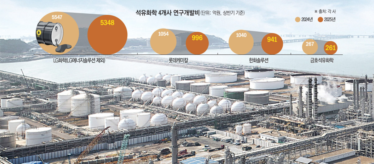 ▲. (그래픽 = 손미경 기자 sssmk@)