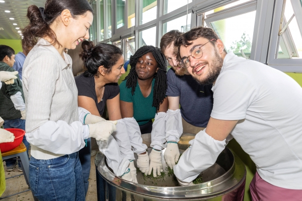 ▲전남 보성 전통차 체험을 하고 있는 외국인들. (사진제공=보성군)