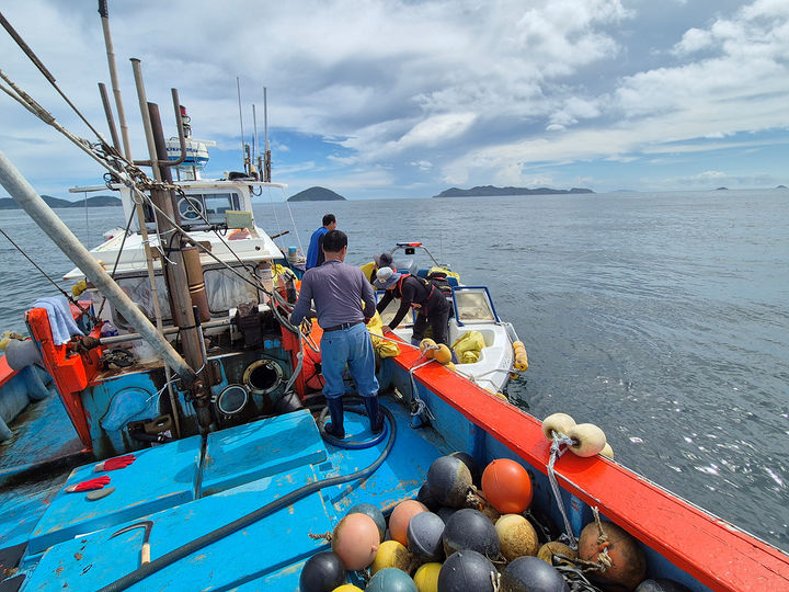 ▲전남 여수시 어업지도선이 여수·고흥·완도 경계 해역의 불법 김 양식시설을 단속하고 있다. (사진제공=여수시)