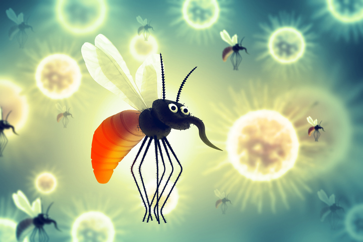 (게티이미지뱅크)