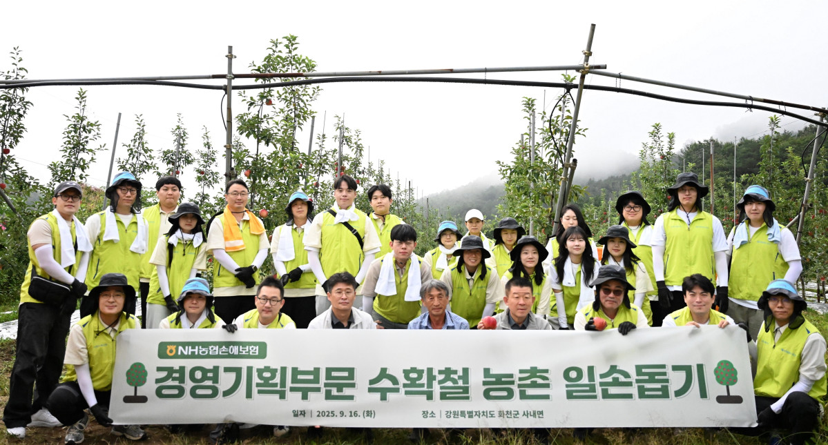 ▲NH농협손해보험은 이달 16일 농번기 일손 부족으로 어려움을 겪고 있는 강원 화천군 소재 사과 농가를 찾아 수확철 일손돕기를 실시했다고 17일 밝혔다. 유지영 부사장(앞줄 오른쪽 세 번째)을 비롯한 임직원들이 기념촬영을 하고 있다. (NH농협손해보험 제공)
