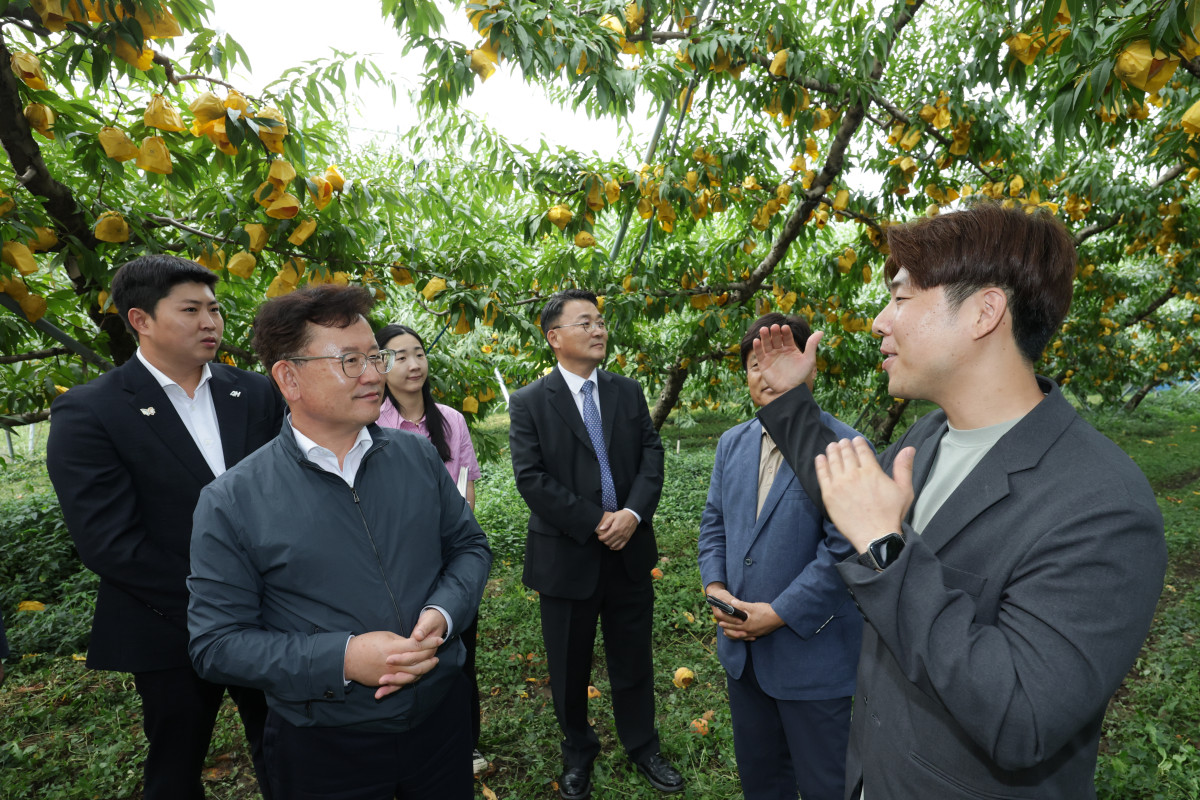 ▲이승돈 농촌진흥청장이 18일 경북 영천시 대창면 복숭아 농장을 찾아 막바지 수확이 진행 중인 복숭아 농장을 둘러보고 있다. (사진제공=농촌진흥청)