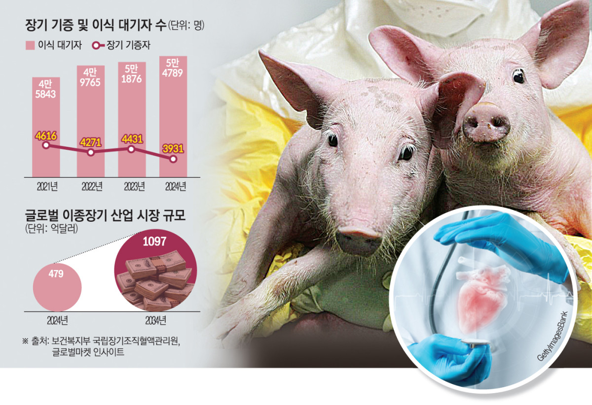 (그래픽=손미경 기자 sssmk@)